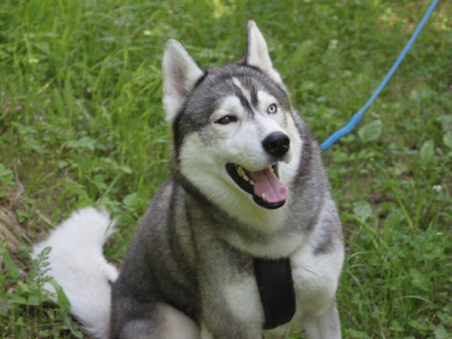 Vacances de Crypton, Polaire et Flosh - part2