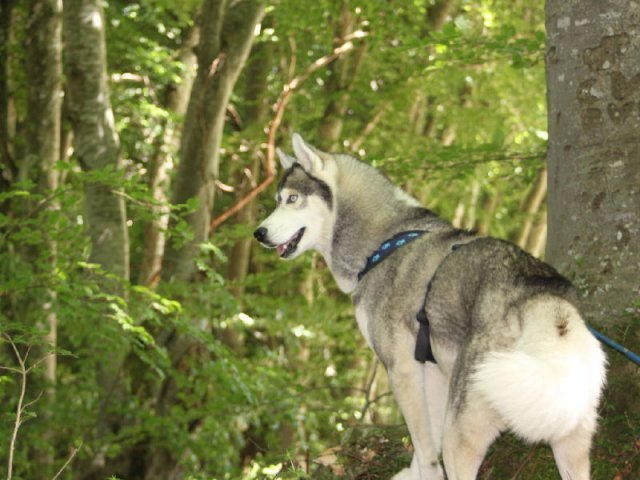 Vacances de Crypton, Polaire et Flosh - part2