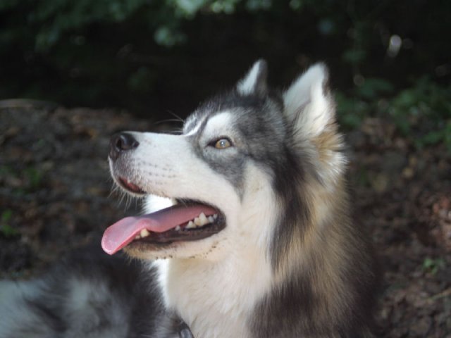 Vacances de Crypton, Polaire et Flosh - part2