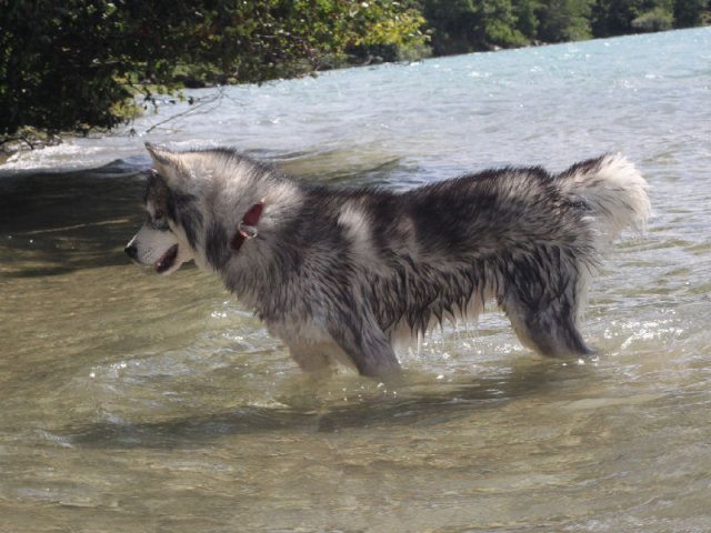 Vacances de Crypton, Polaire et Flosh - part2