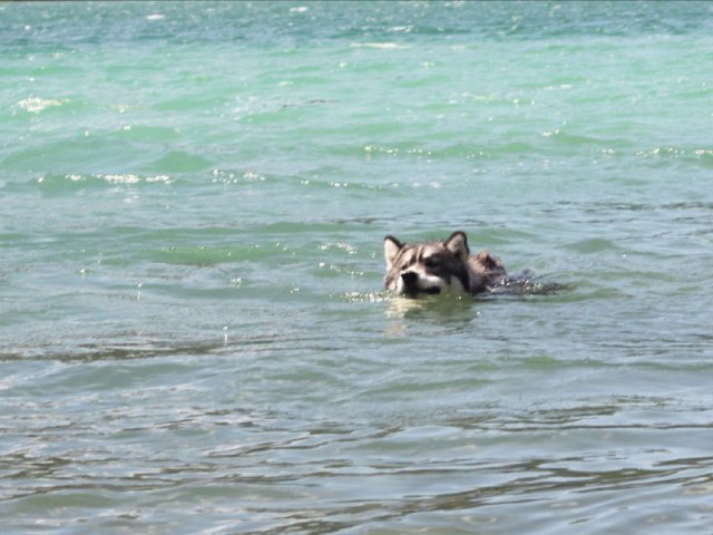 Vacances de Crypton, Polaire et Flosh - part2