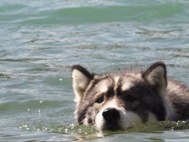 Vacances de Crypton, Polaire et Flosh - part2