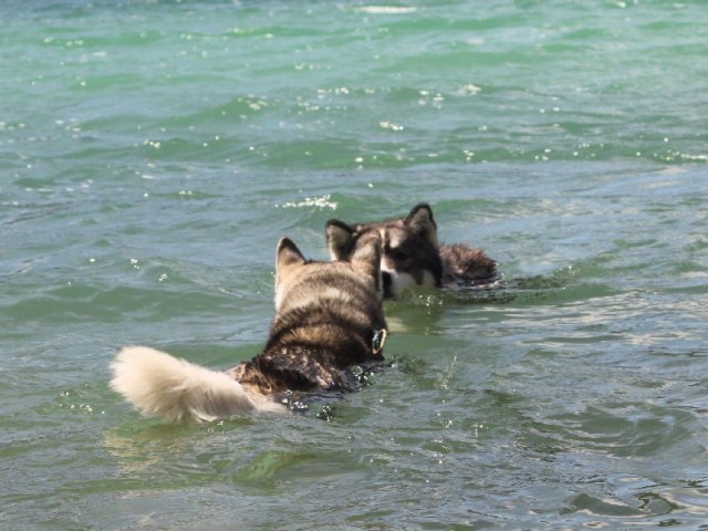 Vacances de Crypton, Polaire et Flosh - part2