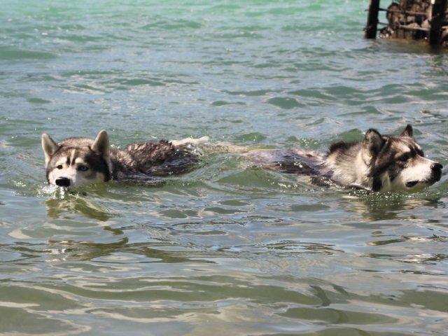 Vacances de Crypton, Polaire et Flosh - part2