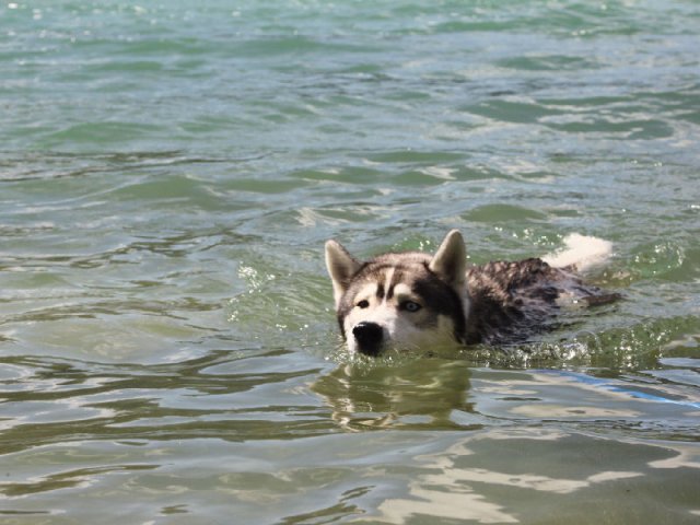 Vacances de Crypton, Polaire et Flosh - part2