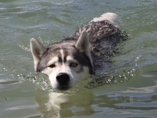 Vacances de Crypton, Polaire et Flosh - part2