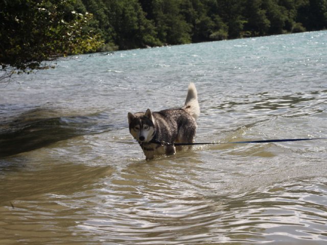 Vacances de Crypton, Polaire et Flosh - part2
