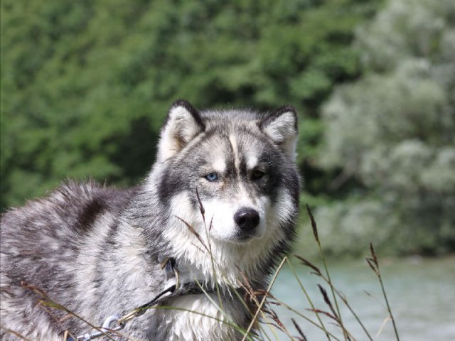 Vacances de Crypton, Polaire et Flosh - part2