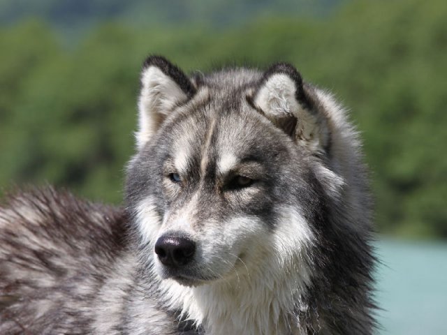 Vacances de Crypton, Polaire et Flosh - part2