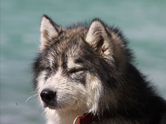 Vacances de Crypton, Polaire et Flosh - part2