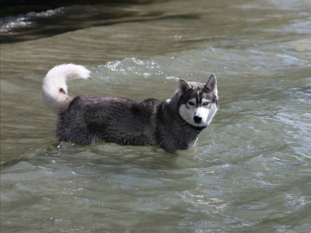 Vacances de Crypton, Polaire et Flosh - part2