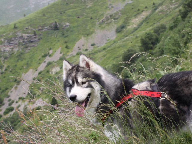 Vacances de Crypton, Polaire et Flosh - part2