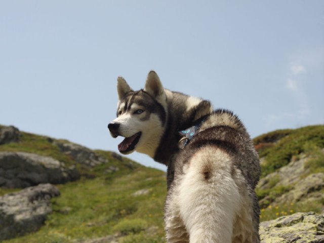 Vacances de Crypton, Polaire et Flosh - part2