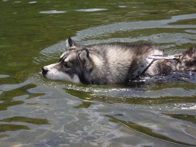 Vacances de Crypton, Polaire et Flosh - part2