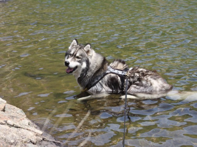 Vacances de Crypton, Polaire et Flosh - part2