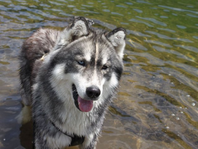 Vacances de Crypton, Polaire et Flosh - part2