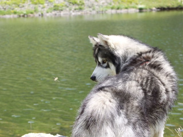 Vacances de Crypton, Polaire et Flosh - part2