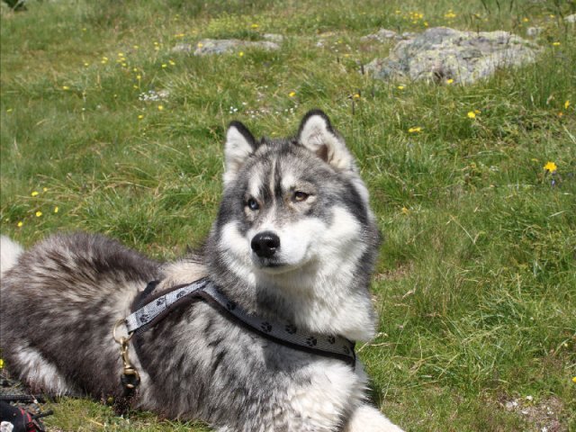 Vacances de Crypton, Polaire et Flosh - part2