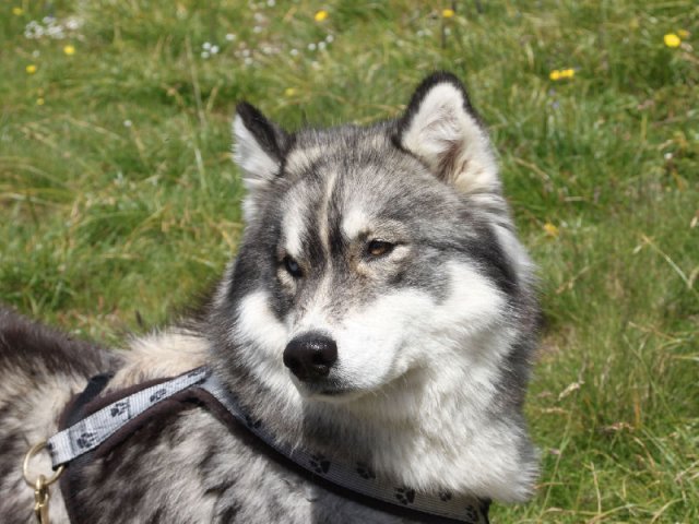 Vacances de Crypton, Polaire et Flosh - part2