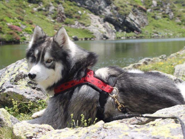 Vacances de Crypton, Polaire et Flosh - part2