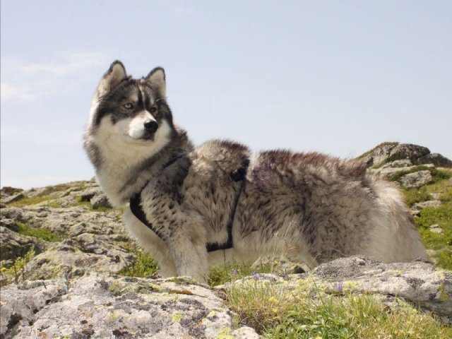 Vacances de Crypton, Polaire et Flosh - part2