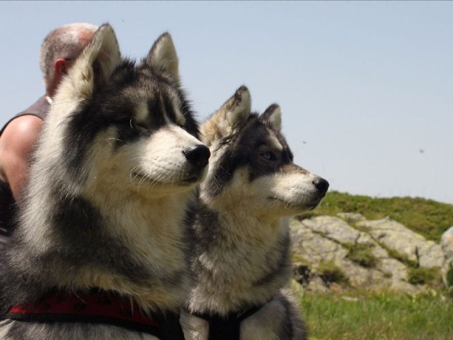 Vacances de Crypton, Polaire et Flosh - part2