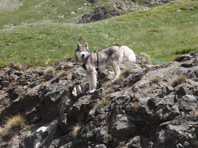 Vacances de Crypton, Polaire et Flosh - part2