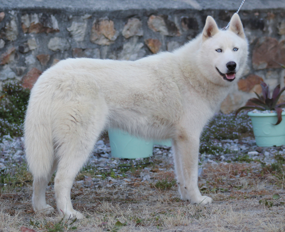 liubovs antares 9 mois