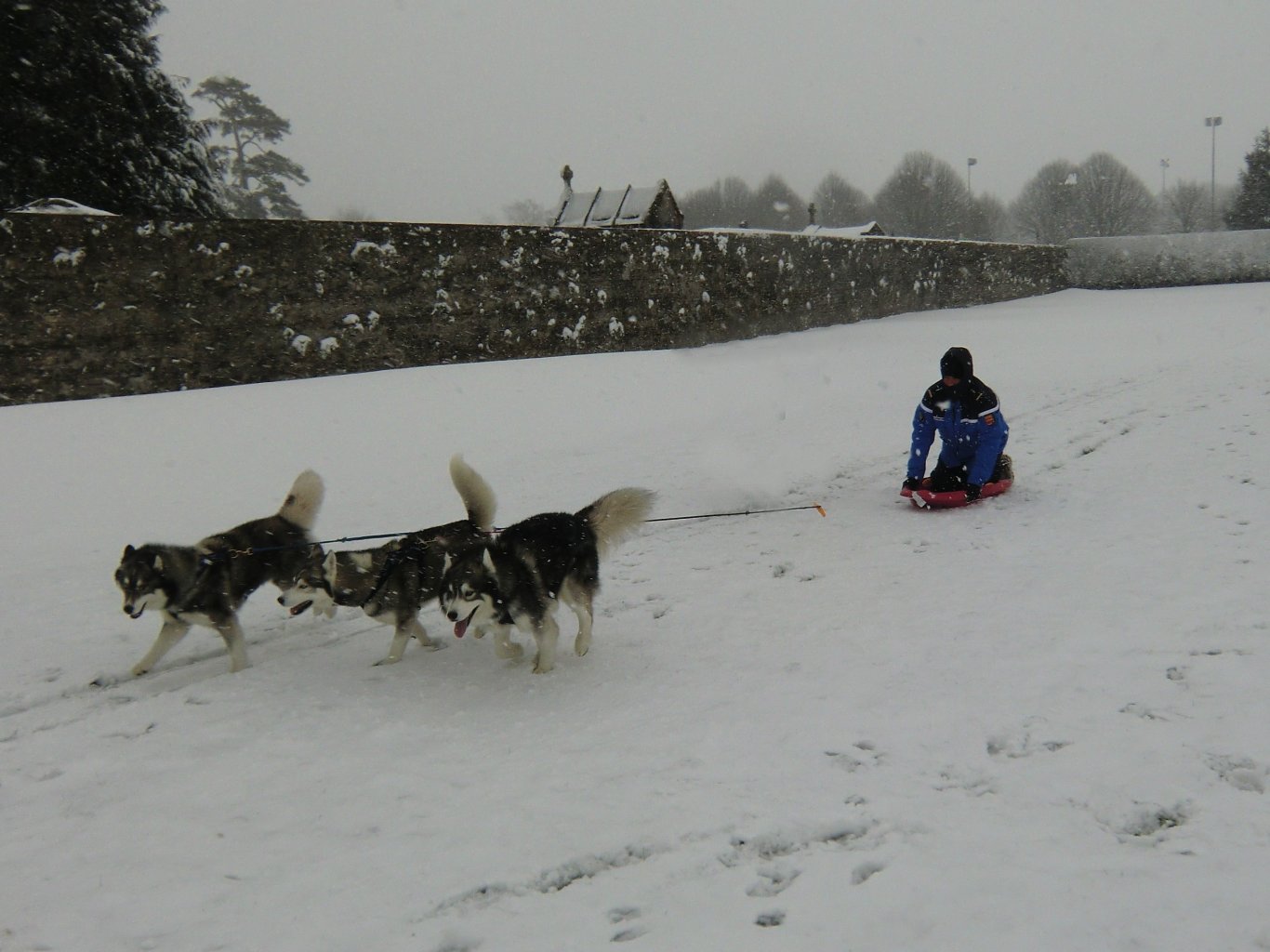 megh 3 liubov atelage