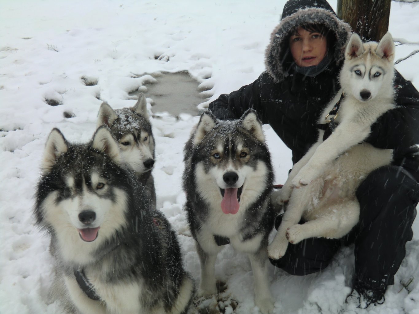 megh avec ses 4 liubov