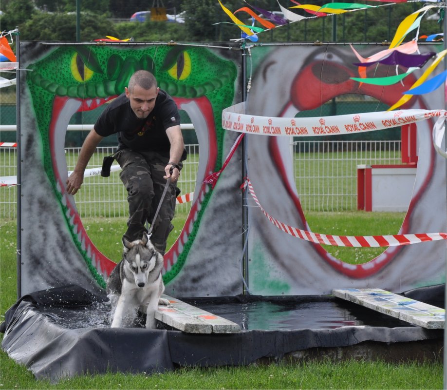 Liubov's Hagrid en Agility ...