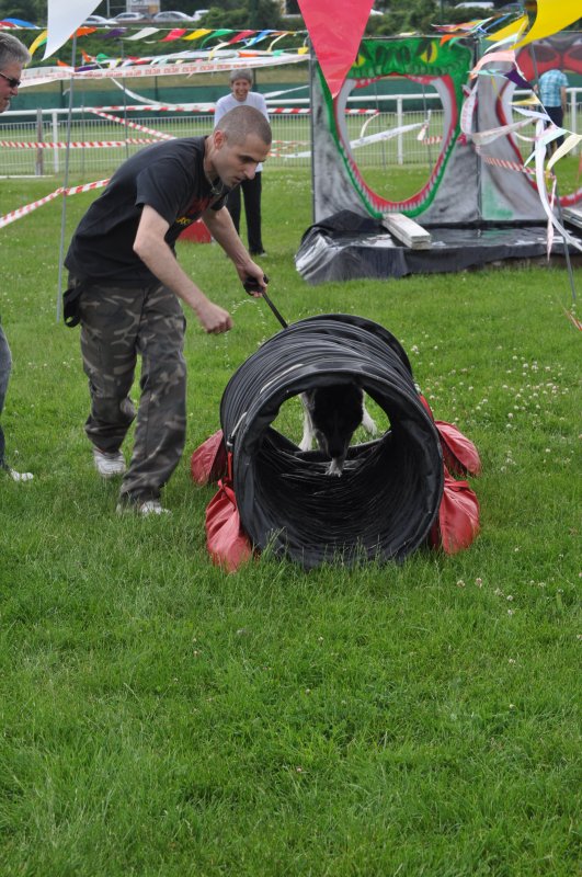 Liubov's Hagrid en Agility ...