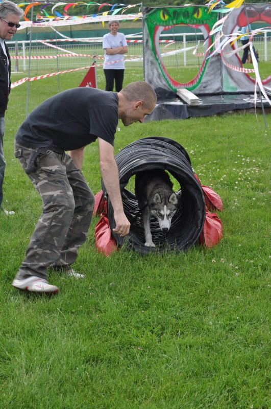 Liubov's Hagrid en Agility ...