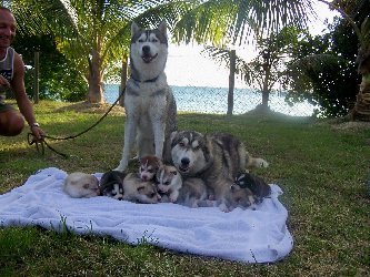 liubov's Anaok et ses BB